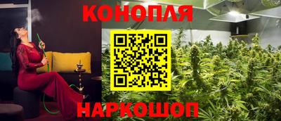 прущие крисы Кулебаки