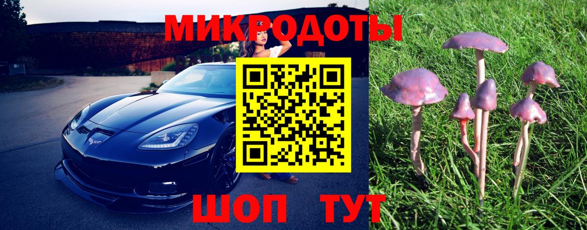 Ижевск  Галлюциногенные грибы прущие грибы  Вход с VPN 