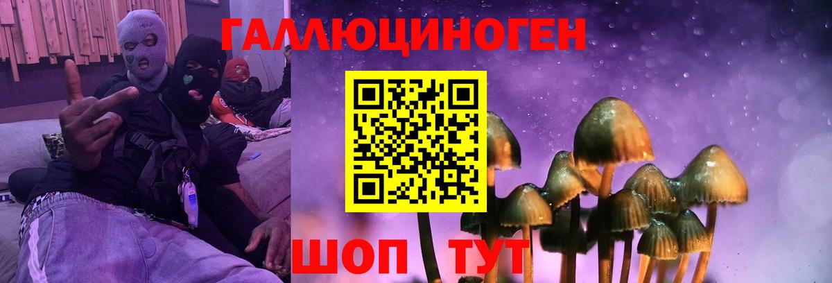 Псилоцибиновые грибы мицелий Ижевск
